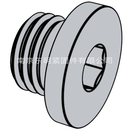 DIN 908 - 2012 內六角圓柱頭喉塞